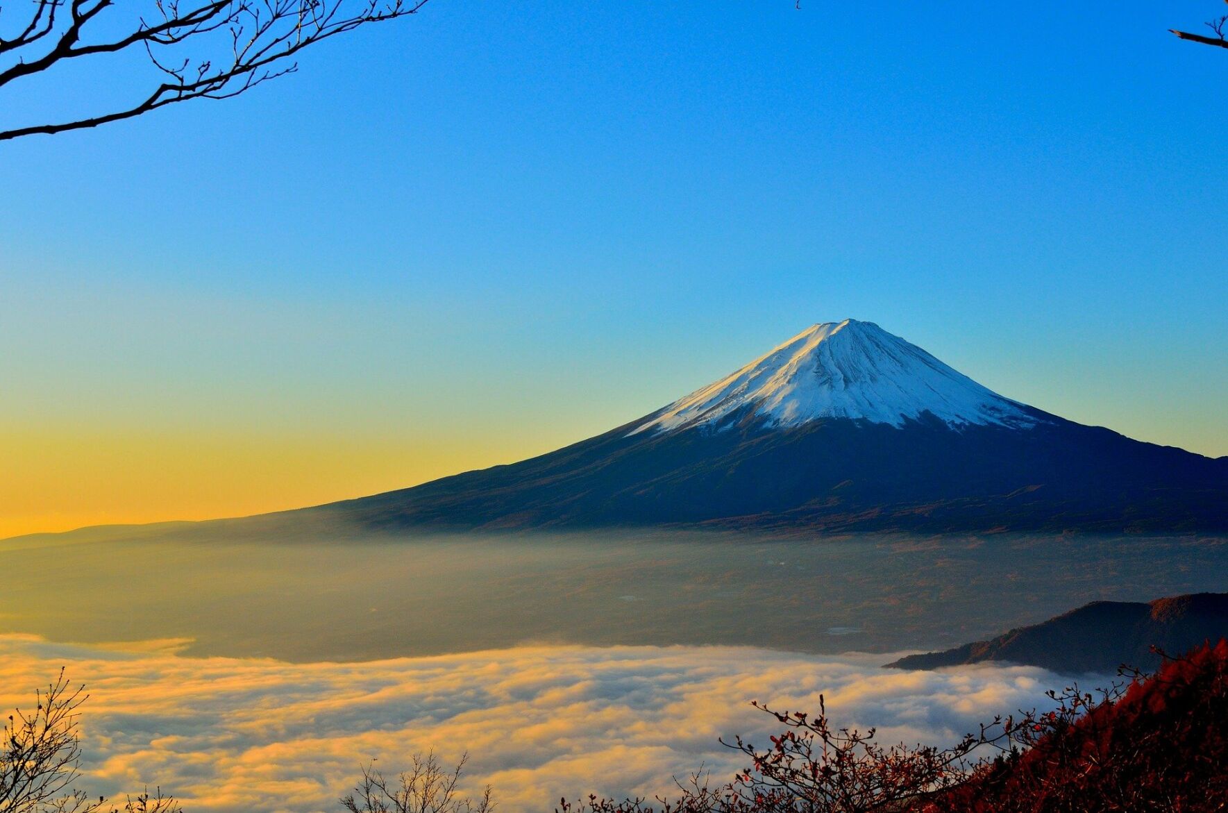 9. Japan